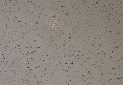 This image shows a flake epoxy floor.